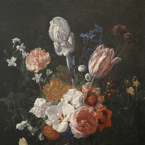 麻豆传媒,天美,91,糖心
